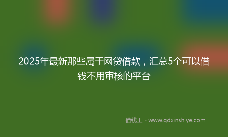 2025年最新那些属于网贷借款，汇总5个可以借钱不用审核的平台