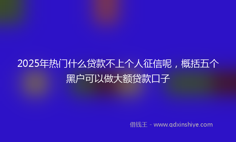 2025年热门什么贷款不上个人征信呢，概括五个黑户可以做大额贷款口子