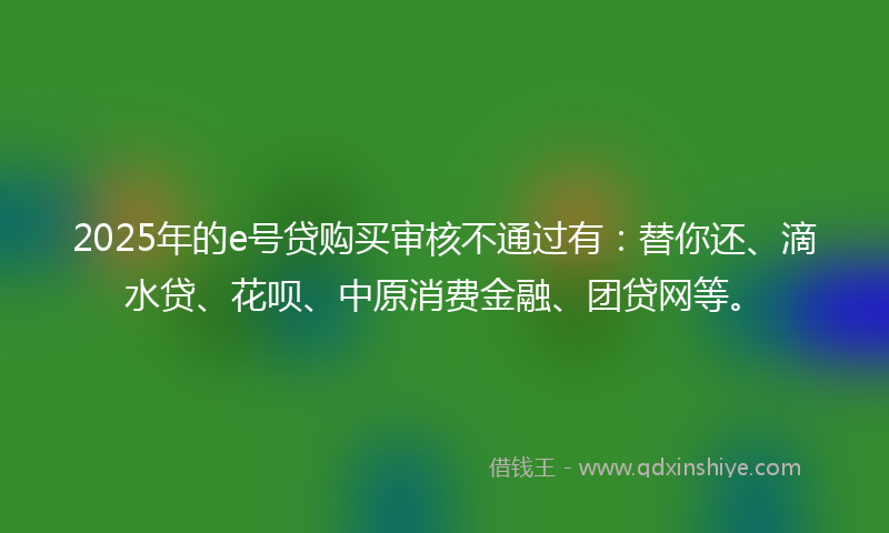 2025年的e号贷购买审核不通过有：替你还、滴水贷、花呗、中原消费金融、团贷网等。