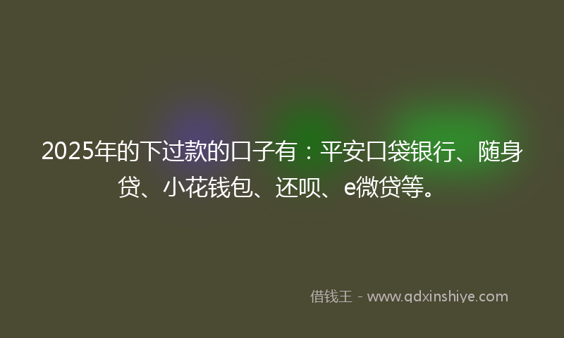 2025年的下过款的口子有：平安口袋银行、随身贷、小花钱包、还呗、e微贷等。
