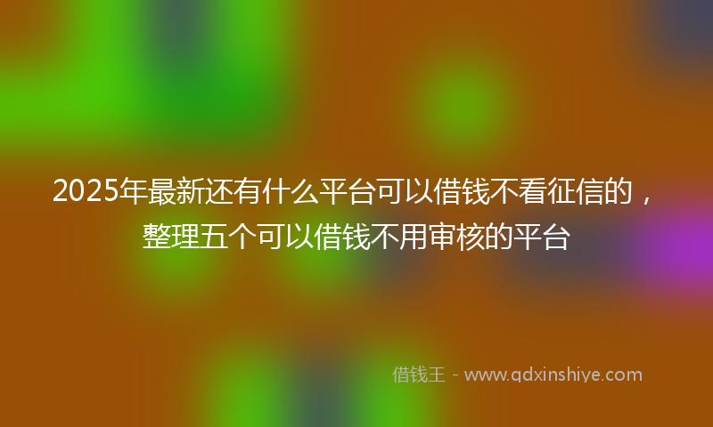 2025年最新还有什么平台可以借钱不看征信的，整理五个可以借钱不用审核的平台