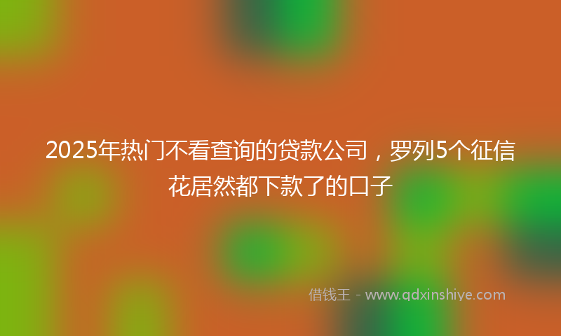 2025年热门不看查询的贷款公司，罗列5个征信花居然都下款了的口子
