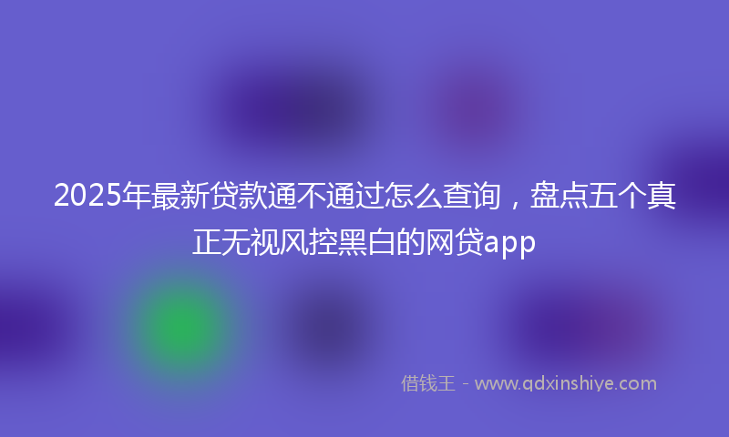 2025年最新贷款通不通过怎么查询，盘点五个真正无视风控黑白的网贷app