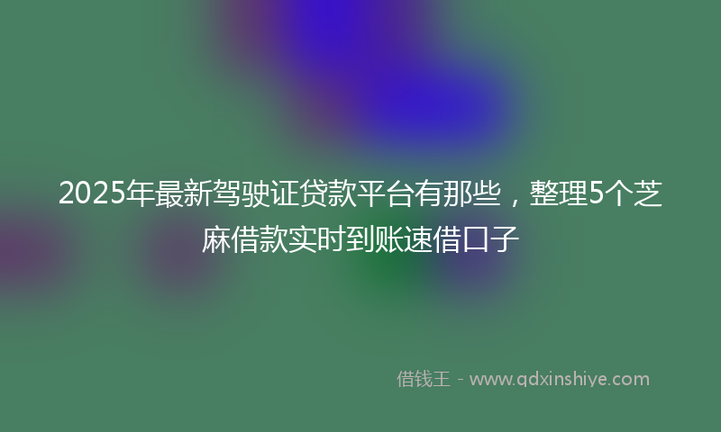 2025年最新驾驶证贷款平台有那些,整理5个芝麻借款实时到账速借口子