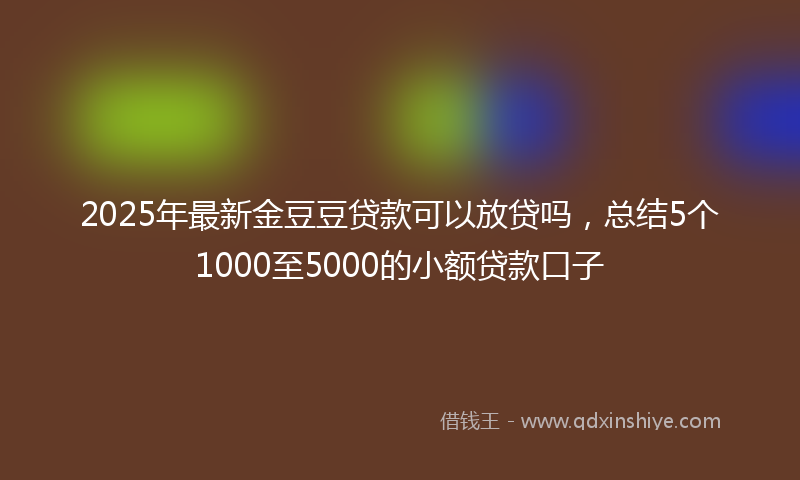 2025年最新金豆豆贷款可以放贷吗，总结5个1000至5000的小额贷款口子