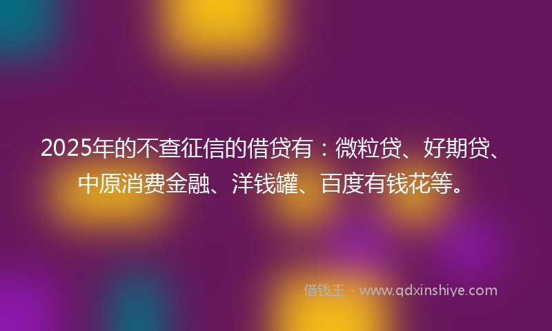 2025年的不查征信的借贷有：微粒贷、好期贷、中原消费金融、洋钱罐、百度有钱花等。