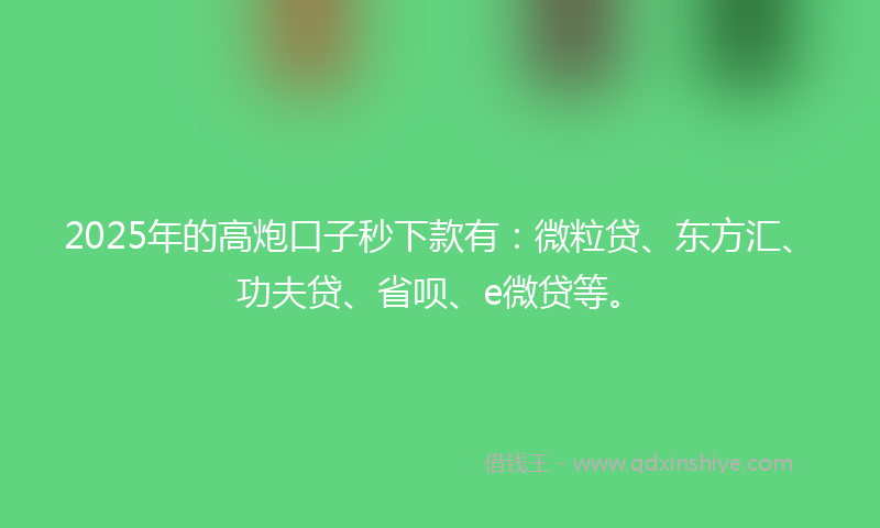 2025年的高炮口子秒下款有：微粒贷、东方汇、功夫贷、省呗、e微贷等。