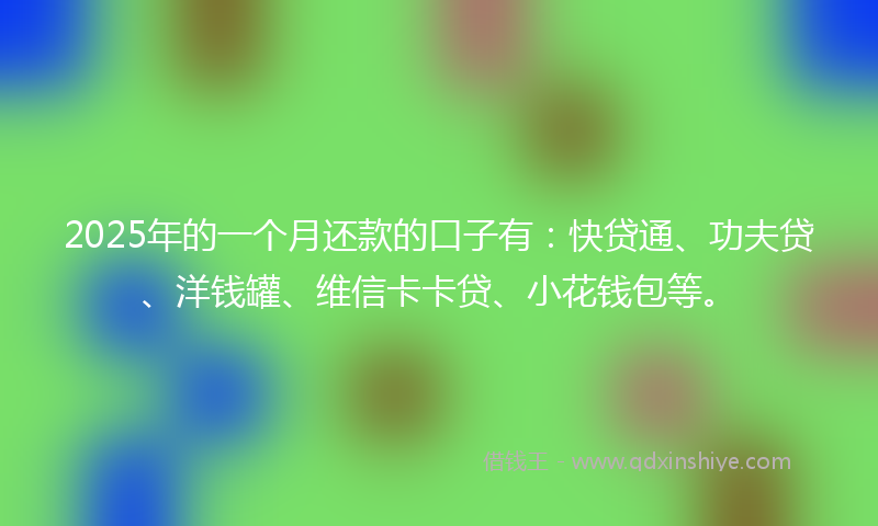 2025年的一个月还款的口子有：快贷通、功夫贷、洋钱罐、维信卡卡贷、小花钱包等。