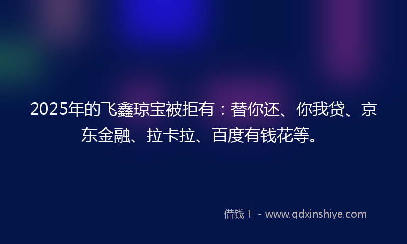 2025年的飞鑫琼宝被拒有：替你还、你我贷、京东金融、拉卡拉、百度有钱花等。