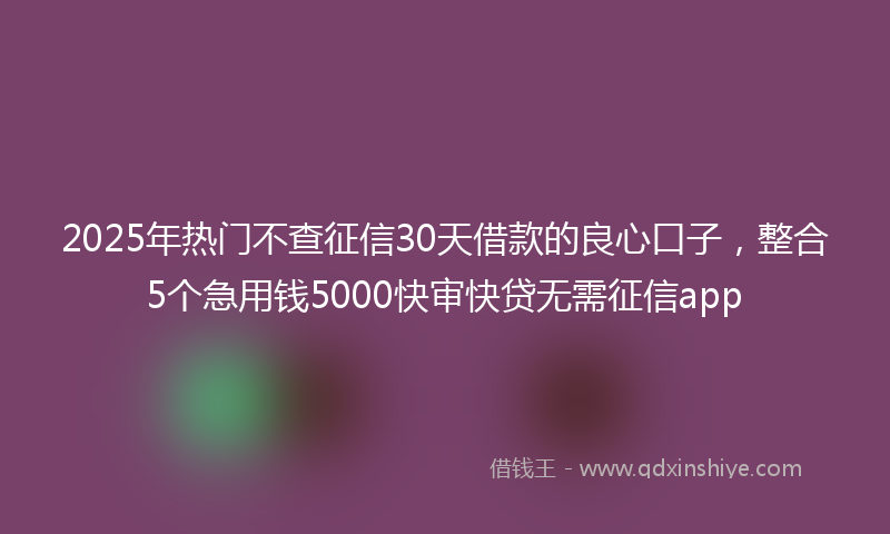 2025年热门不查征信30天借款的良心口子，整合5个急用钱5000快审快贷无需征信app