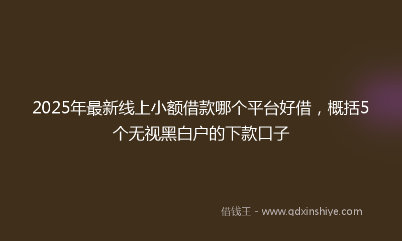 2025年最新线上小额借款哪个平台好借，概括5个无视黑白户的下款口子