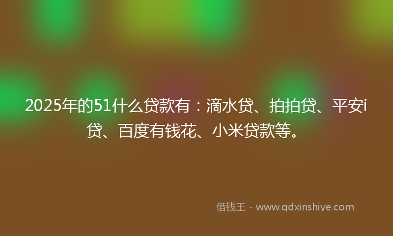 2025年的51什么贷款有：滴水贷、拍拍贷、平安i贷、百度有钱花、小米贷款等。