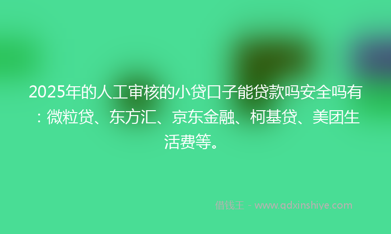 2025年的人工审核的小贷口子能贷款吗安全吗有：微粒贷、东方汇、京东金融、柯基贷、美团生活费等。