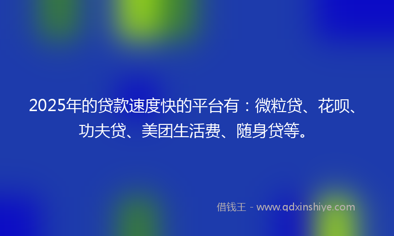 2025年的贷款速度快的平台有：微粒贷、花呗、功夫贷、美团生活费、随身贷等。