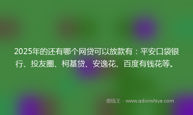 2025年的还有哪个网贷可以放款有：平安口袋银行、投友圈、柯基贷、安逸花、百度有钱花等。