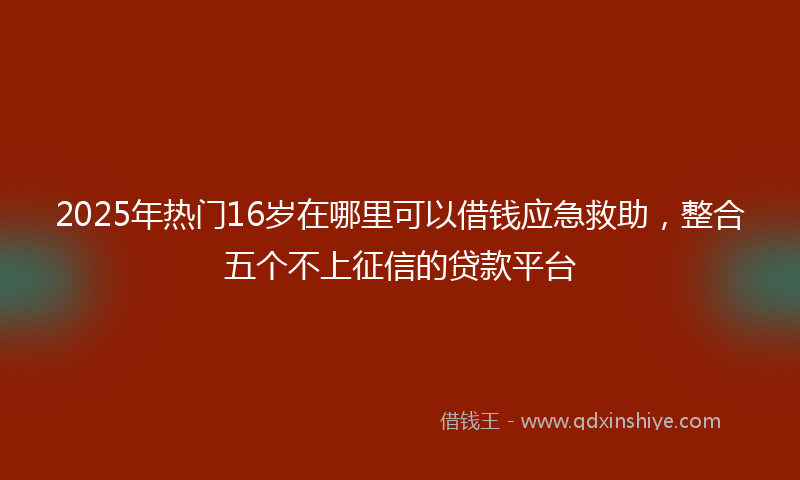 2025年热门16岁在哪里可以借钱应急救助，整合五个不上征信的贷款平台