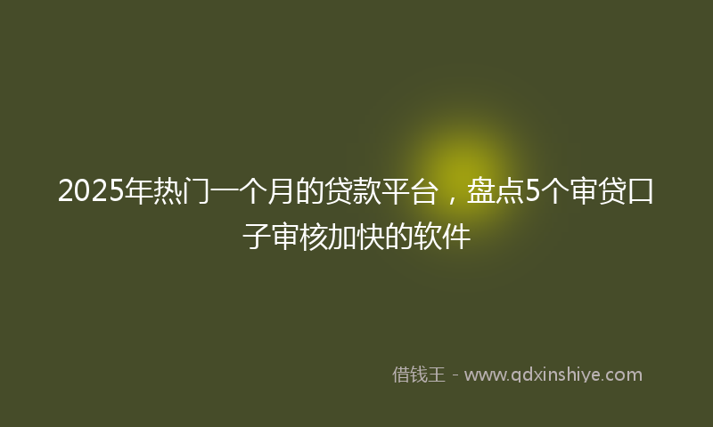 2025年热门一个月的贷款平台，盘点5个审贷口子审核加快的软件