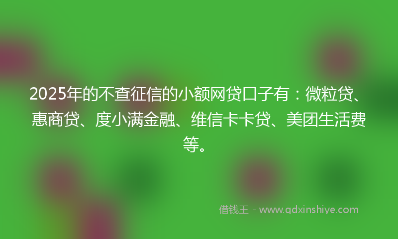 2025年的不查征信的小额网贷口子有：微粒贷、惠商贷、度小满金融、维信卡卡贷、美团生活费等。