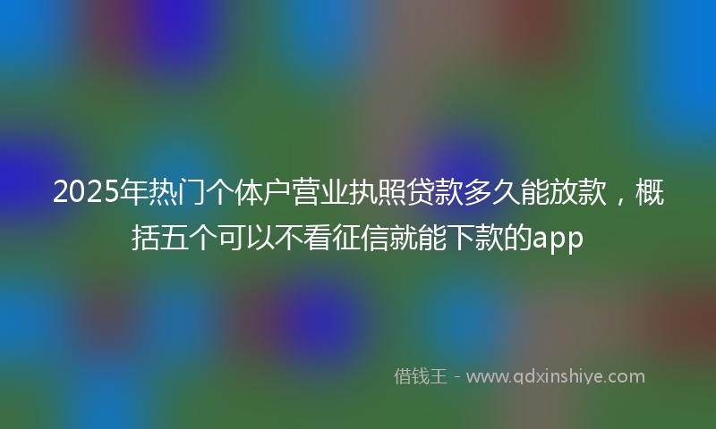 2025年热门个体户营业执照贷款多久能放款，概括五个可以不看征信就能下款的app