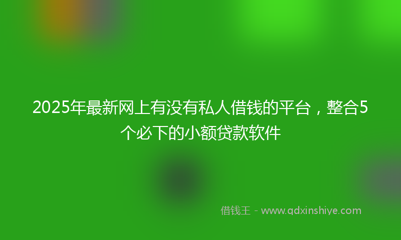 2025年最新网上有没有私人借钱的平台，整合5个必下的小额贷款软件