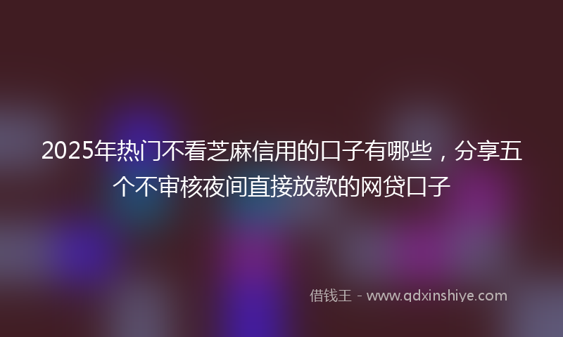 2025年热门不看芝麻信用的口子有哪些，分享五个不审核夜间直接放款的网贷口子