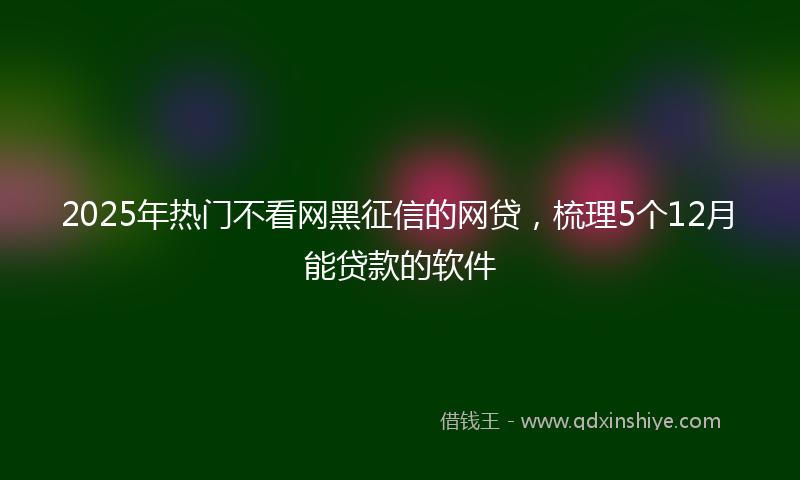 2025年热门不看网黑征信的网贷，梳理5个12月能贷款的软件