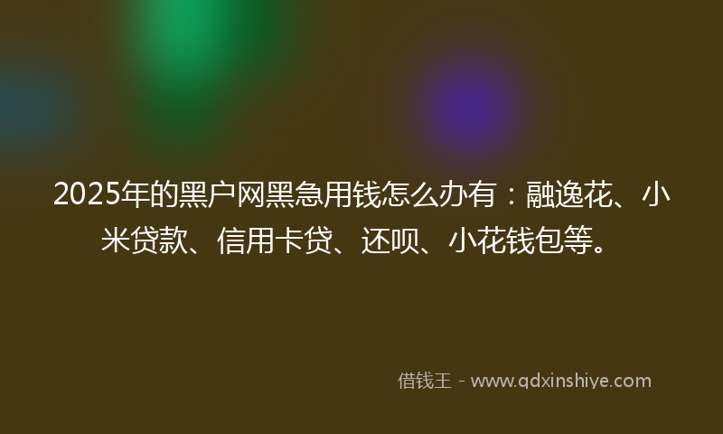 2025年的黑户网黑急用钱怎么办有：融逸花、小米贷款、信用卡贷、还呗、小花钱包等。