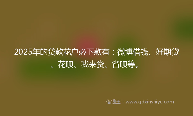 2025年的贷款花户必下款有：微博借钱、好期贷、花呗、我来贷、省呗等。