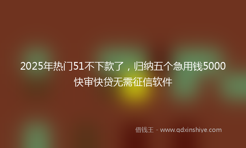 2025年热门51不下款了，归纳五个急用钱5000快审快贷无需征信软件