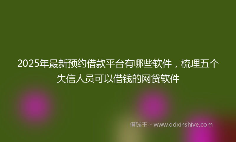 2025年最新预约借款平台有哪些软件，梳理五个失信人员可以借钱的网贷软件