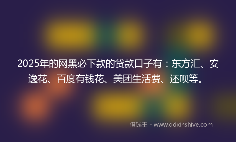 2025年的网黑必下款的贷款口子有：东方汇、安逸花、百度有钱花、美团生活费、还呗等。