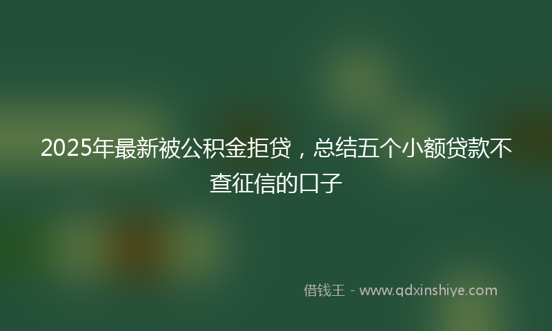 2025年最新被公积金拒贷，总结五个小额贷款不查征信的口子