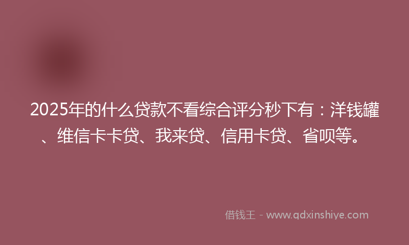 2025年的什么贷款不看综合评分秒下有：洋钱罐、维信卡卡贷、我来贷、信用卡贷、省呗等。