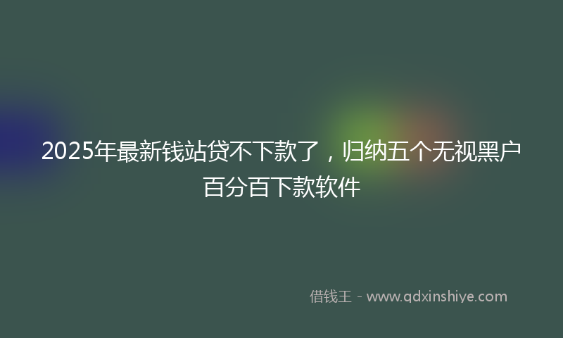 2025年最新钱站贷不下款了，归纳五个无视黑户百分百下款软件