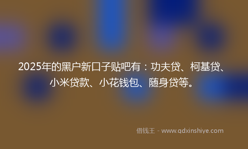 2025年的黑户新口子贴吧有：功夫贷、柯基贷、小米贷款、小花钱包、随身贷等。