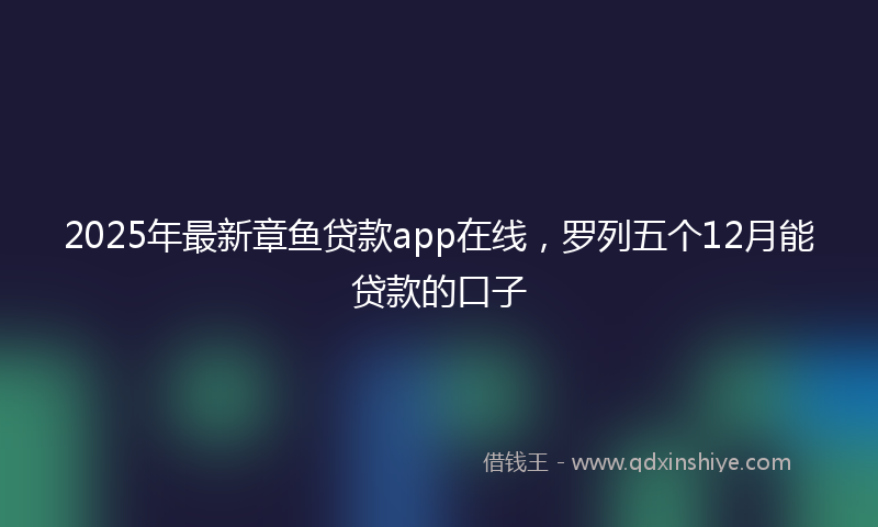 2025年最新章鱼贷款app在线，罗列五个12月能贷款的口子