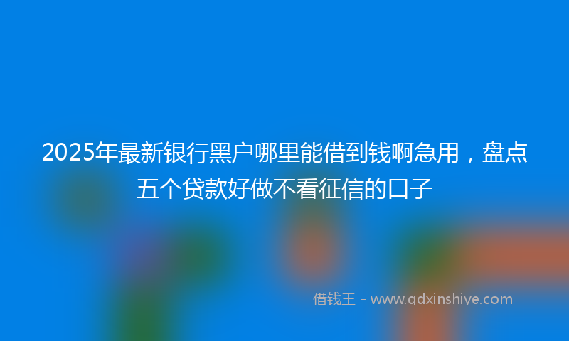 2025年最新银行黑户哪里能借到钱啊急用，盘点五个贷款好做不看征信的口子