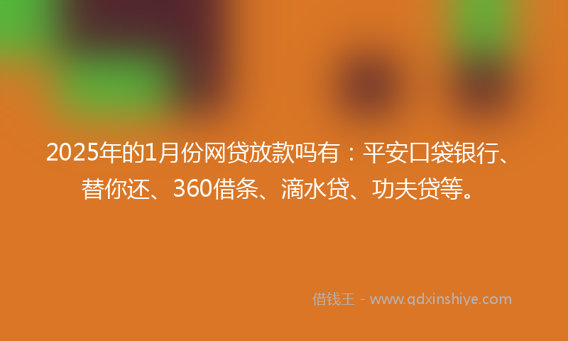 2025年的1月份网贷放款吗有：平安口袋银行、替你还、360借条、滴水贷、功夫贷等。