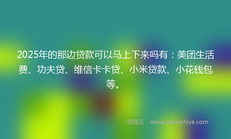 2025年的那边贷款可以马上下来吗有:美团生活费、功夫贷、维信卡卡贷、小米贷款、小花钱包等。