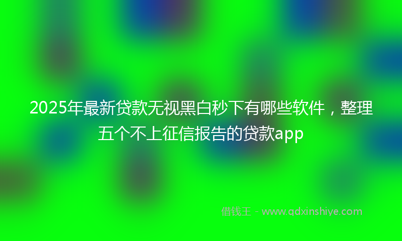 2025年最新贷款无视黑白秒下有哪些软件，整理五个不上征信报告的贷款app