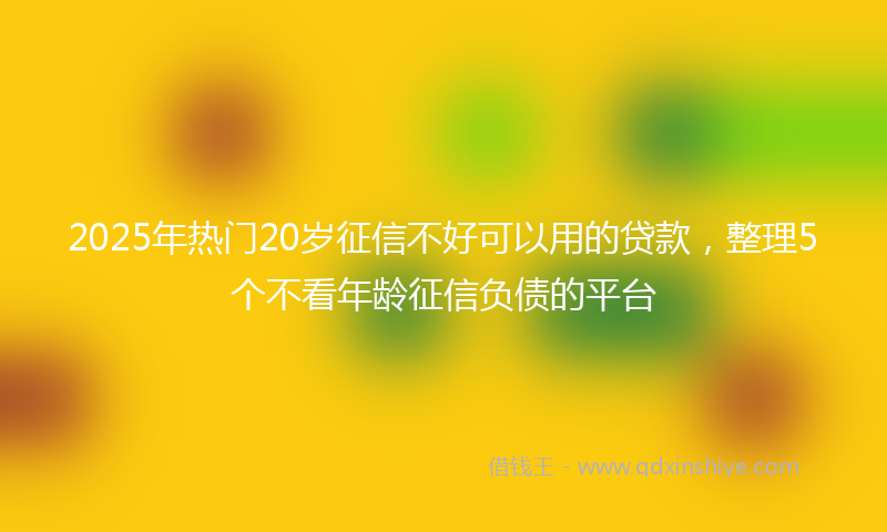 2025年热门20岁征信不好可以用的贷款，整理5个不看年龄征信负债的平台