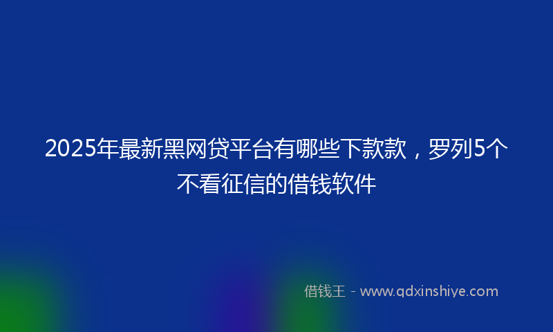 2025年最新黑网贷平台有哪些下款款，罗列5个不看征信的借钱软件