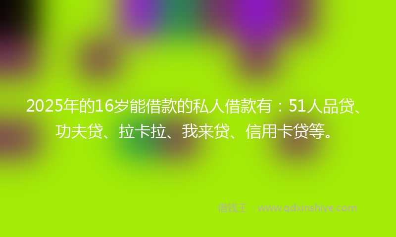 2025年的16岁能借款的私人借款有：51人品贷、功夫贷、拉卡拉、我来贷、信用卡贷等。