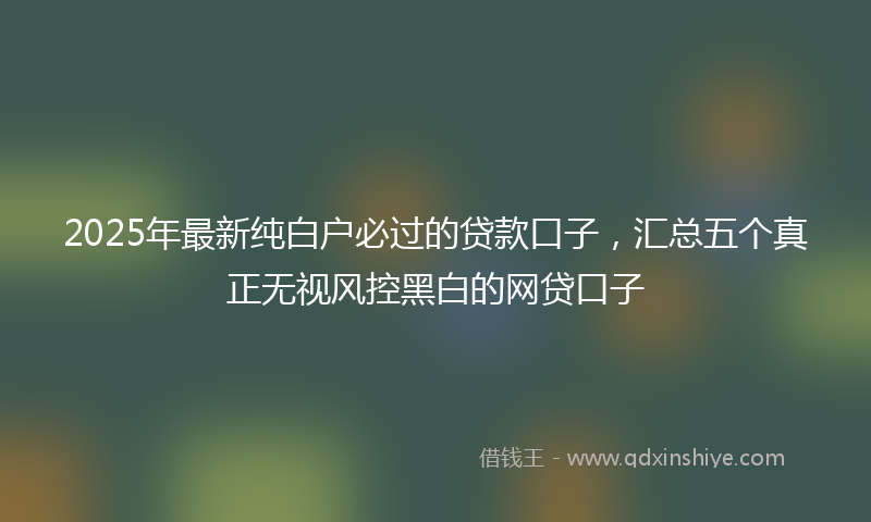 2025年最新纯白户必过的贷款口子，汇总五个真正无视风控黑白的网贷口子