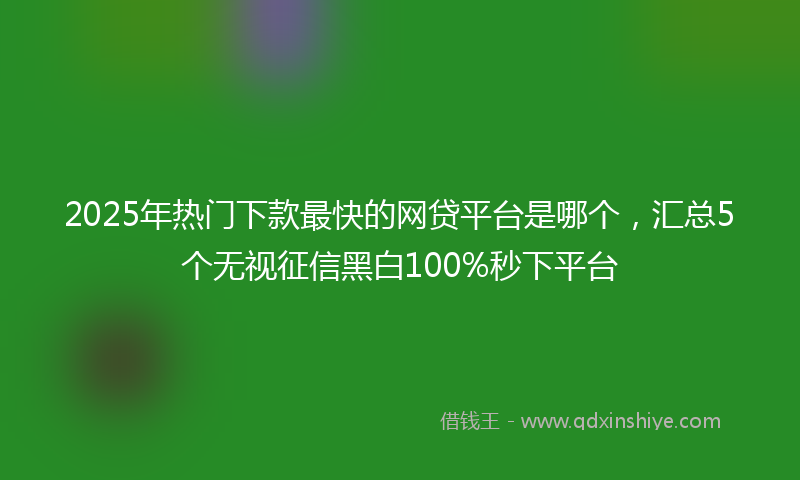 2025年热门下款最快的网贷平台是哪个，汇总5个无视征信黑白100%秒下平台