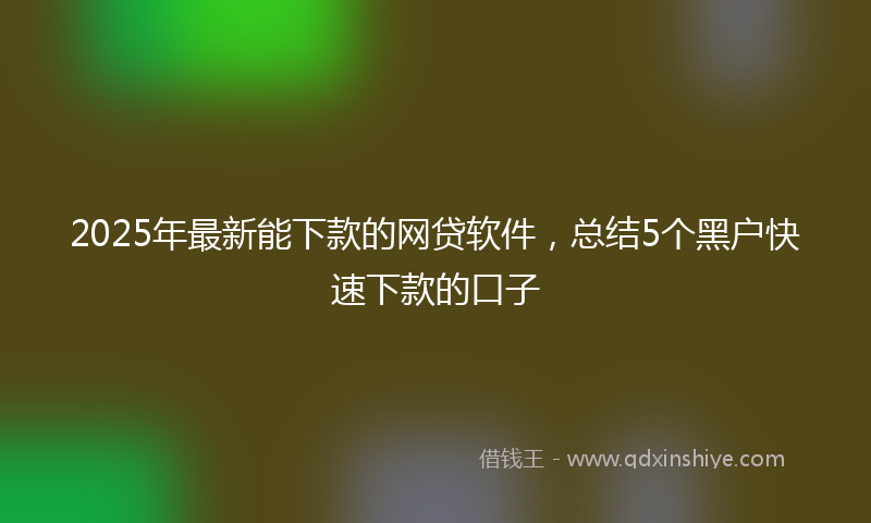 2025年最新能下款的网贷软件，总结5个黑户快速下款的口子