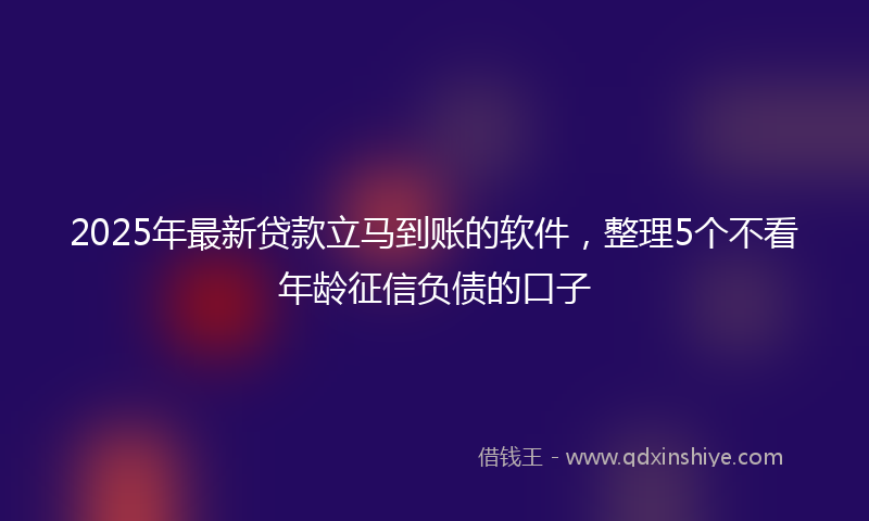2025年最新贷款立马到账的软件，整理5个不看年龄征信负债的口子