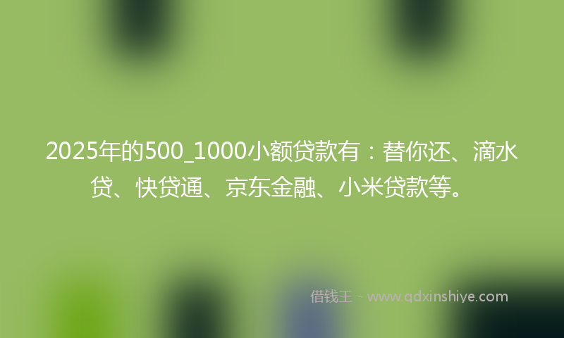 2025年的500_1000小额贷款有：替你还、滴水贷、快贷通、京东金融、小米贷款等。