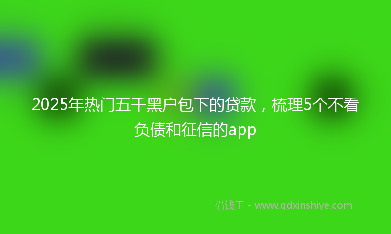 2025年热门五千黑户包下的贷款，梳理5个不看负债和征信的app