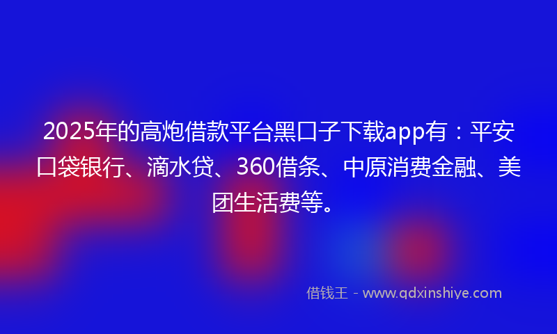 2025年的高炮借款平台黑口子下载app有：平安口袋银行、滴水贷、360借条、中原消费金融、美团生活费等。